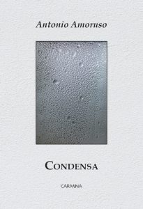 Un viaggio nell’anima, dove ogni emozione si condensa in versi intensi e sinceri, rivelando la fragile forza dell’esistenza.
